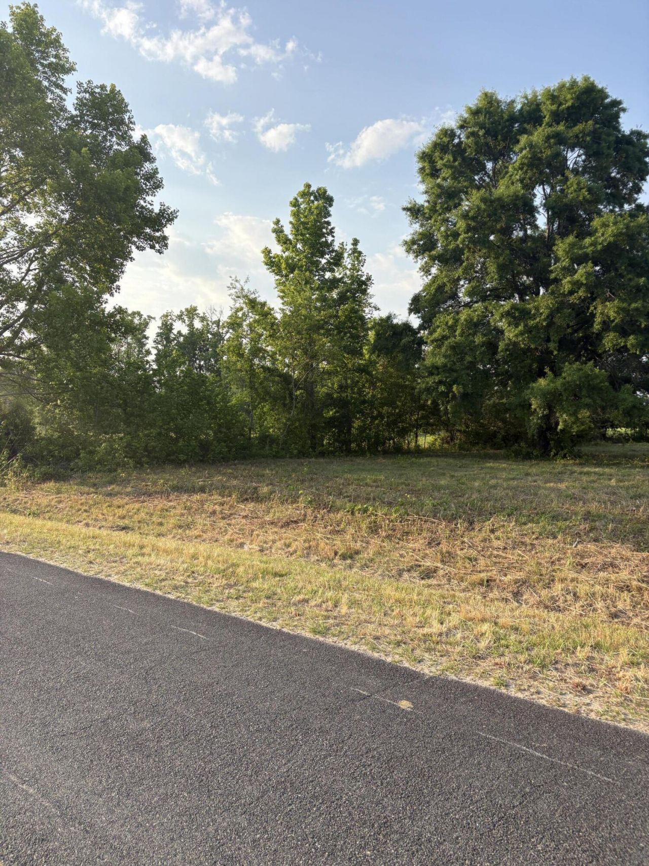 419 Old Bell Road Photo 7