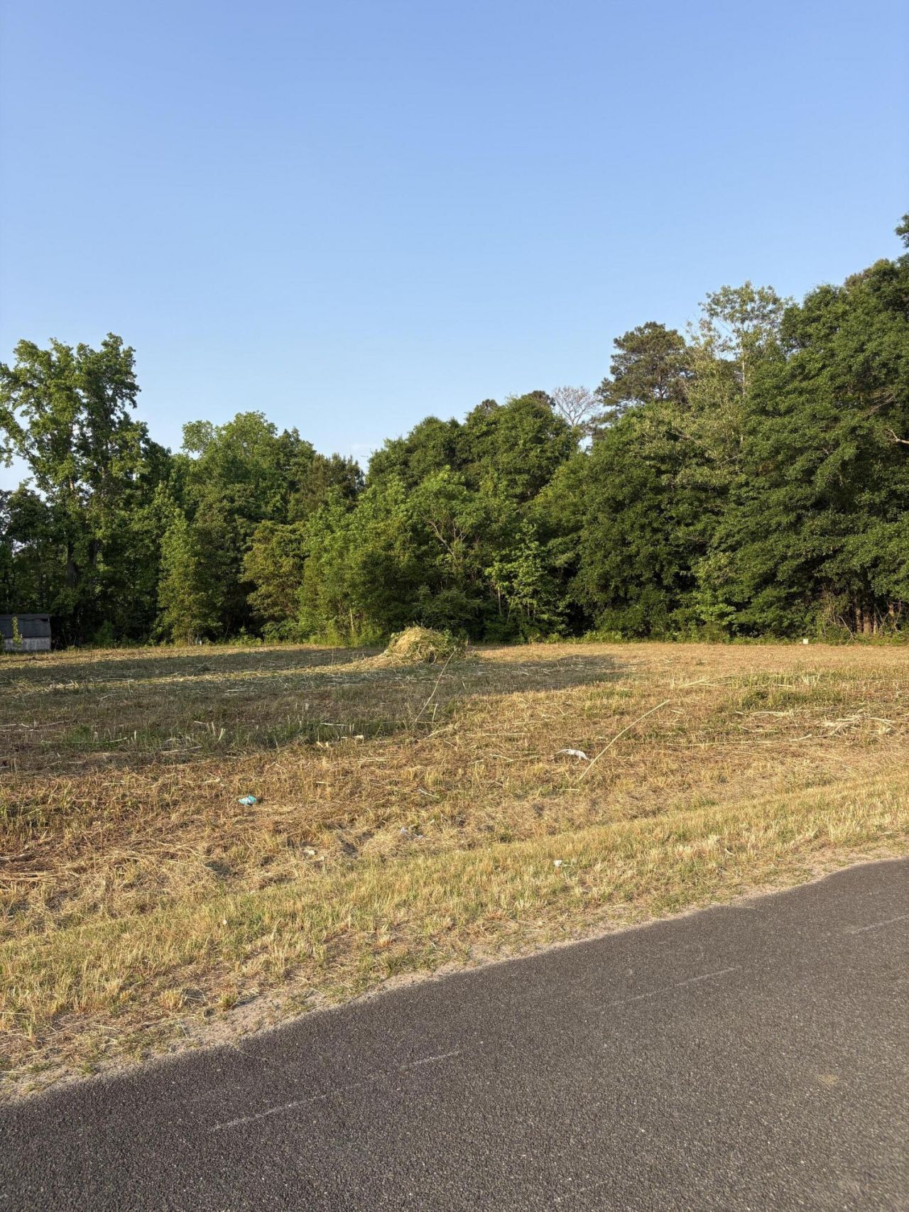 419 Old Bell Road Photo 8