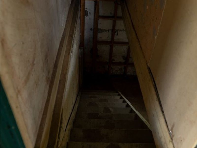 557 Sunshine Avenue, Youngstown, OH 44505 Photo 24