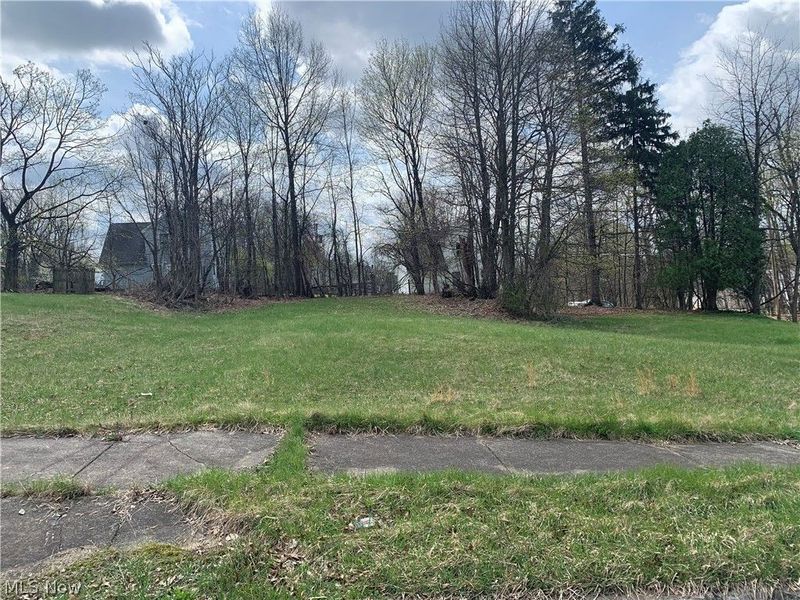 861 Parkwood Avenue, Youngstown, OH 44502 Photo 1