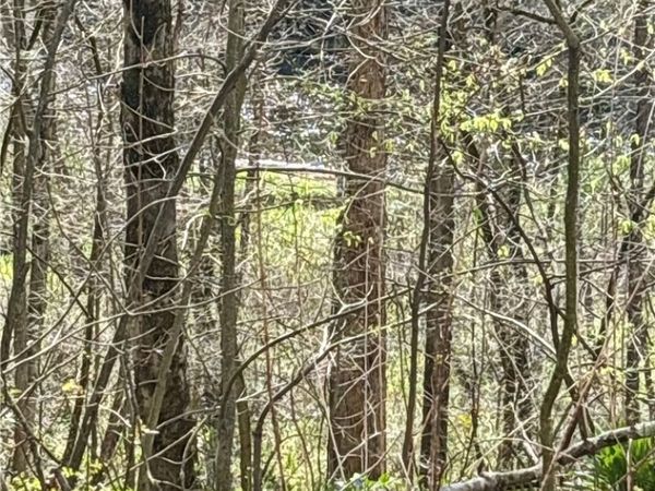 0 Main St , Volant, PA 16156