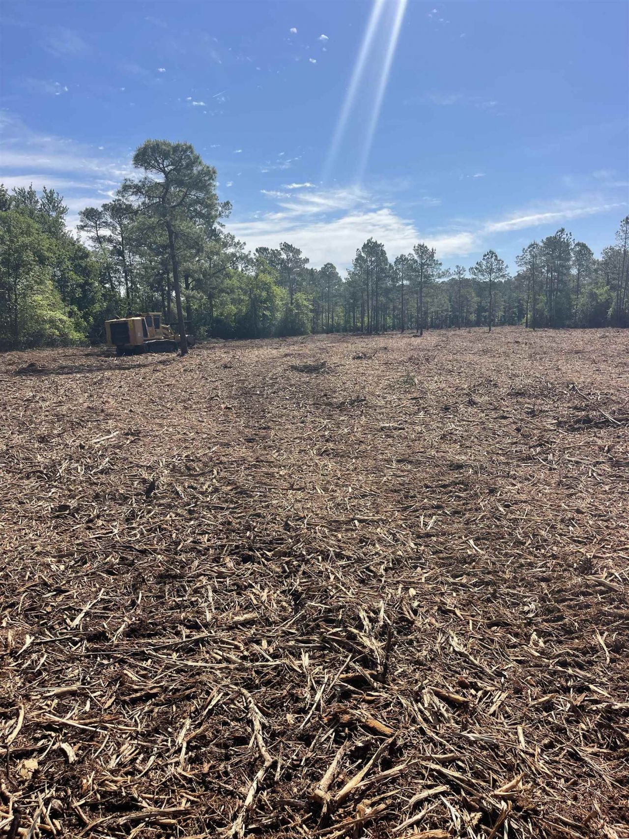 Tbd Mount Olive Church Rd.  Photo 10