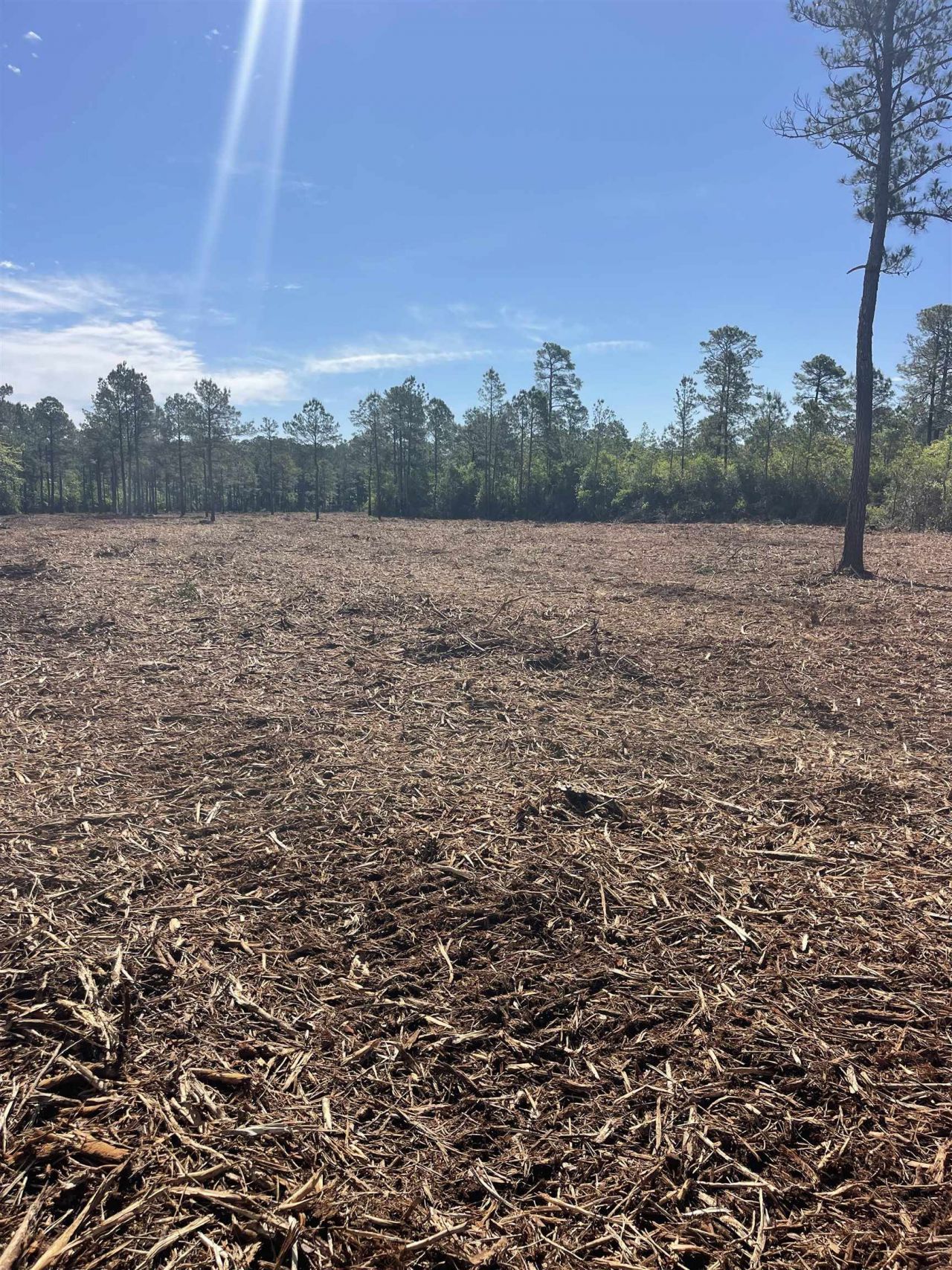 Tbd Mount Olive Church Rd.  Photo 11