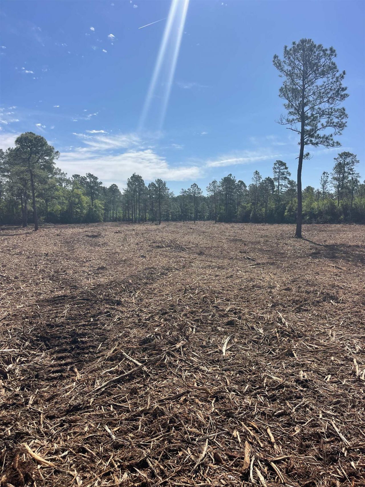 Tbd Mount Olive Church Rd.  Photo 12