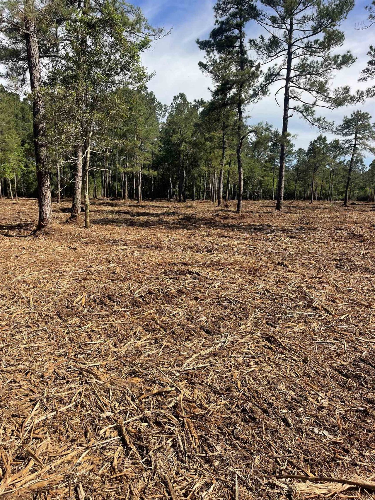 Tbd Mount Olive Church Rd.  Photo 13