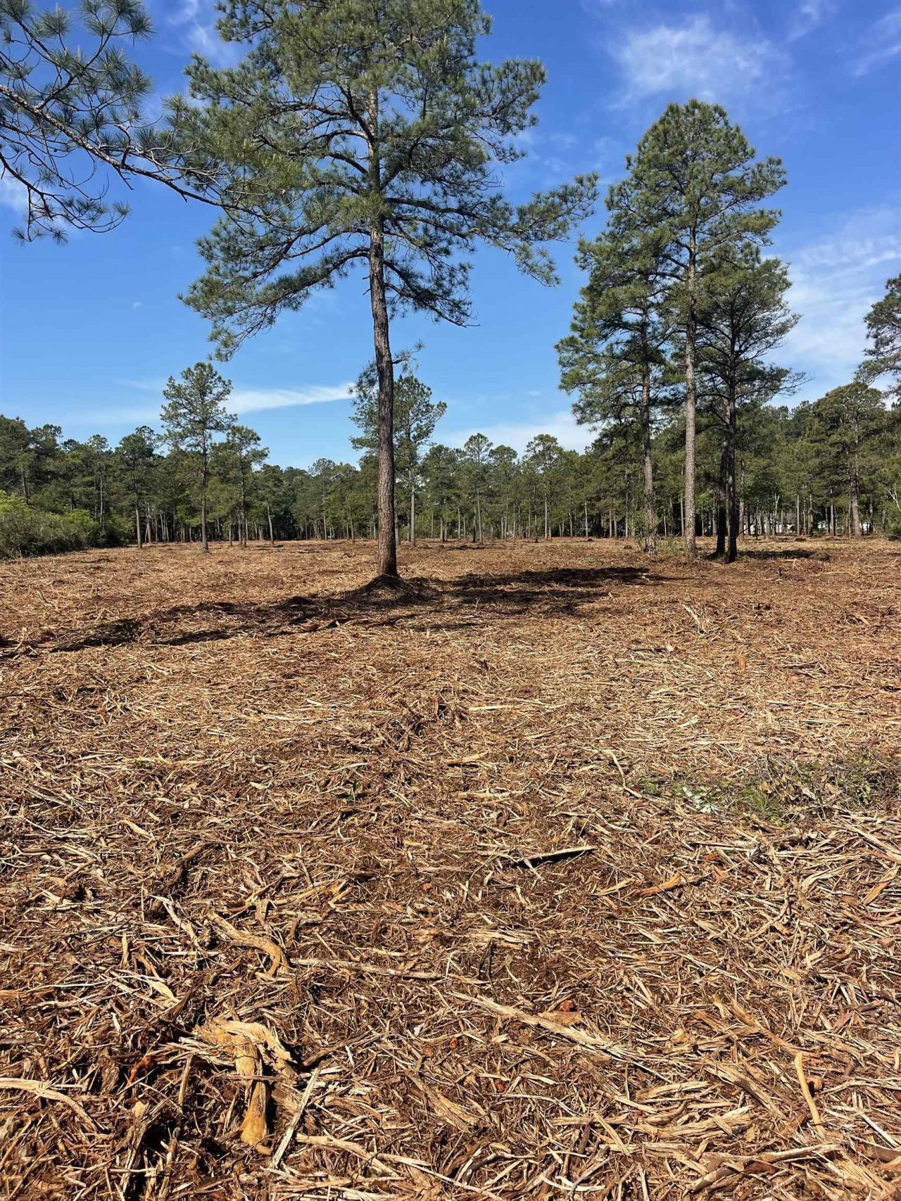 Tbd Mount Olive Church Rd.  Photo 14