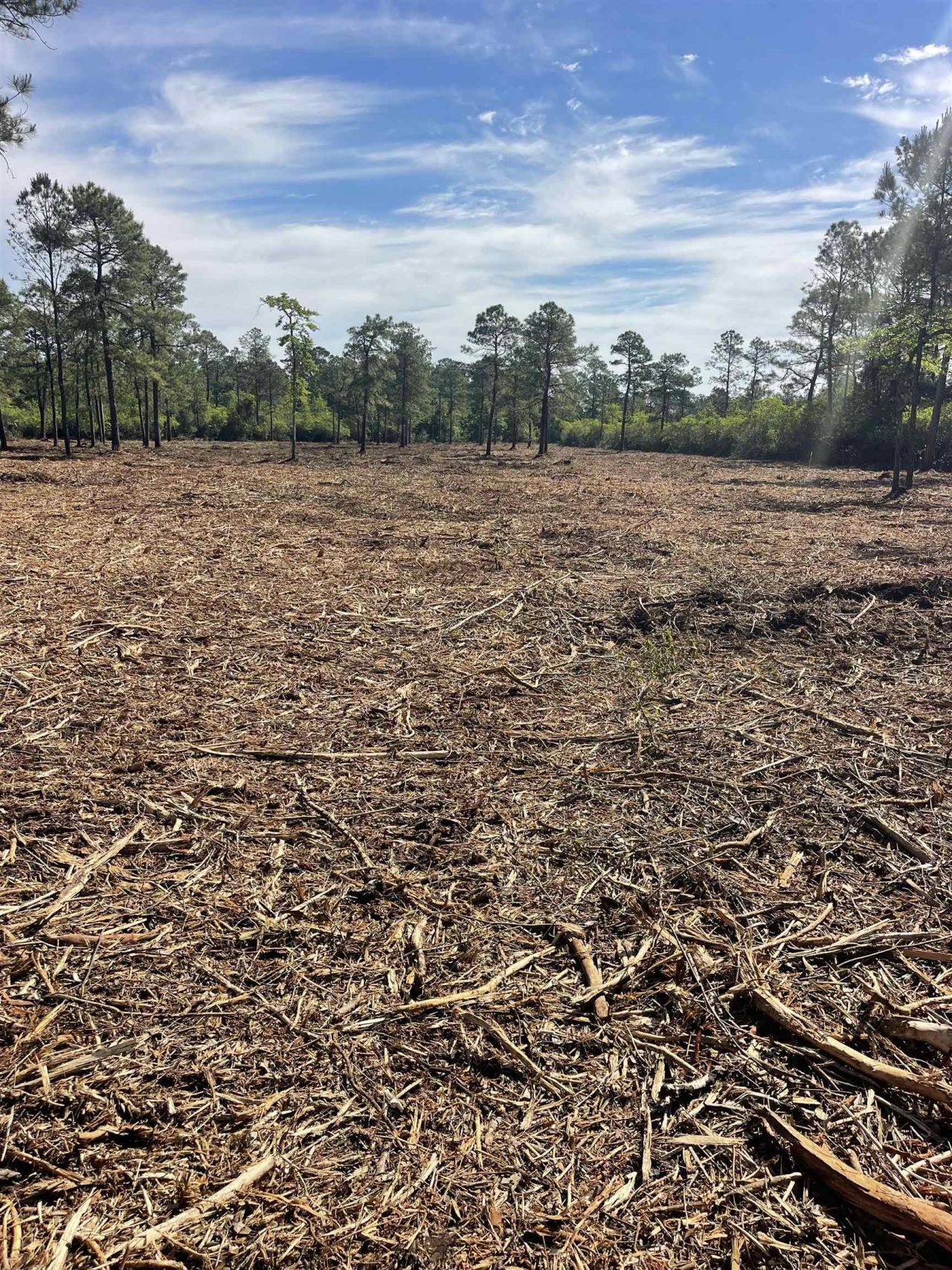 Tbd Mount Olive Church Rd.  Photo 15