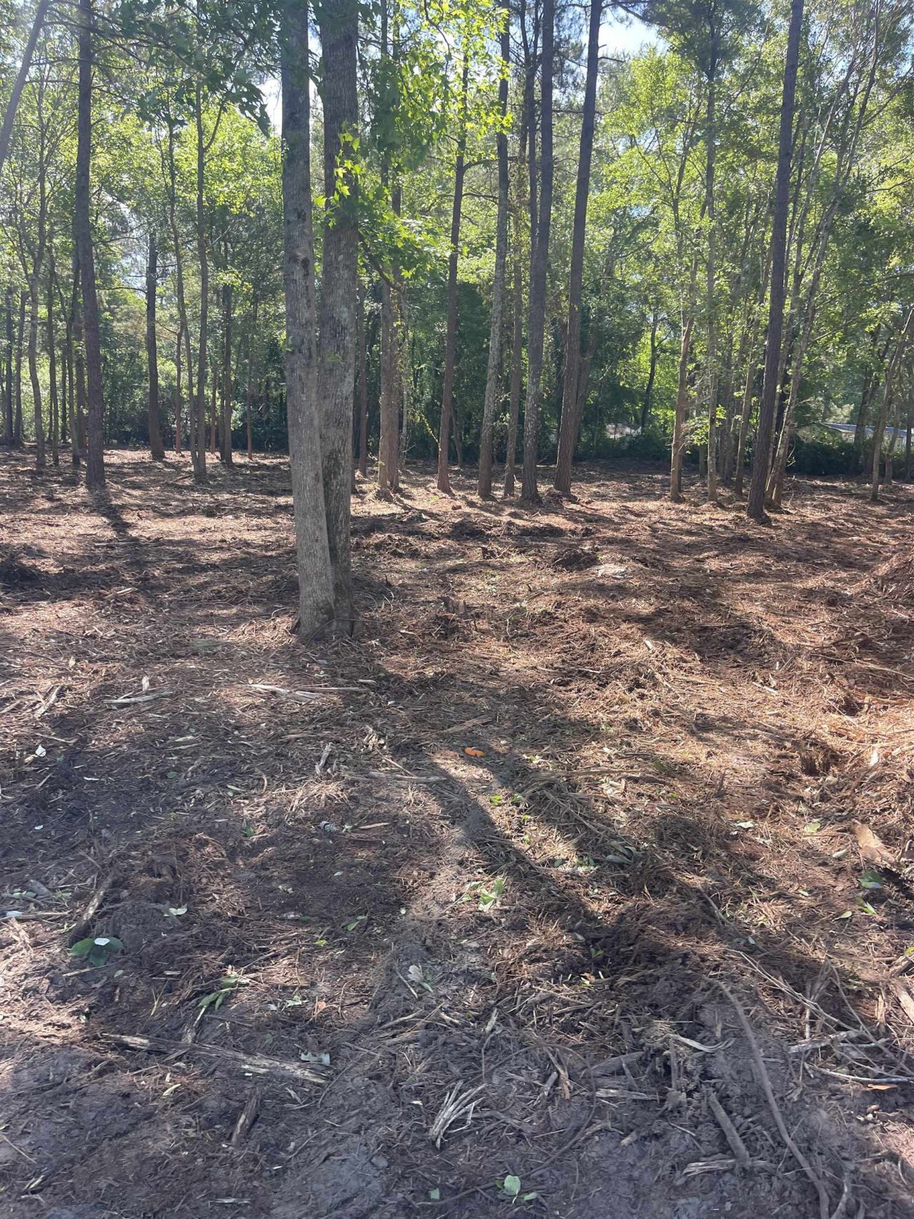 Tbd Mount Olive Church Rd.  Photo 16