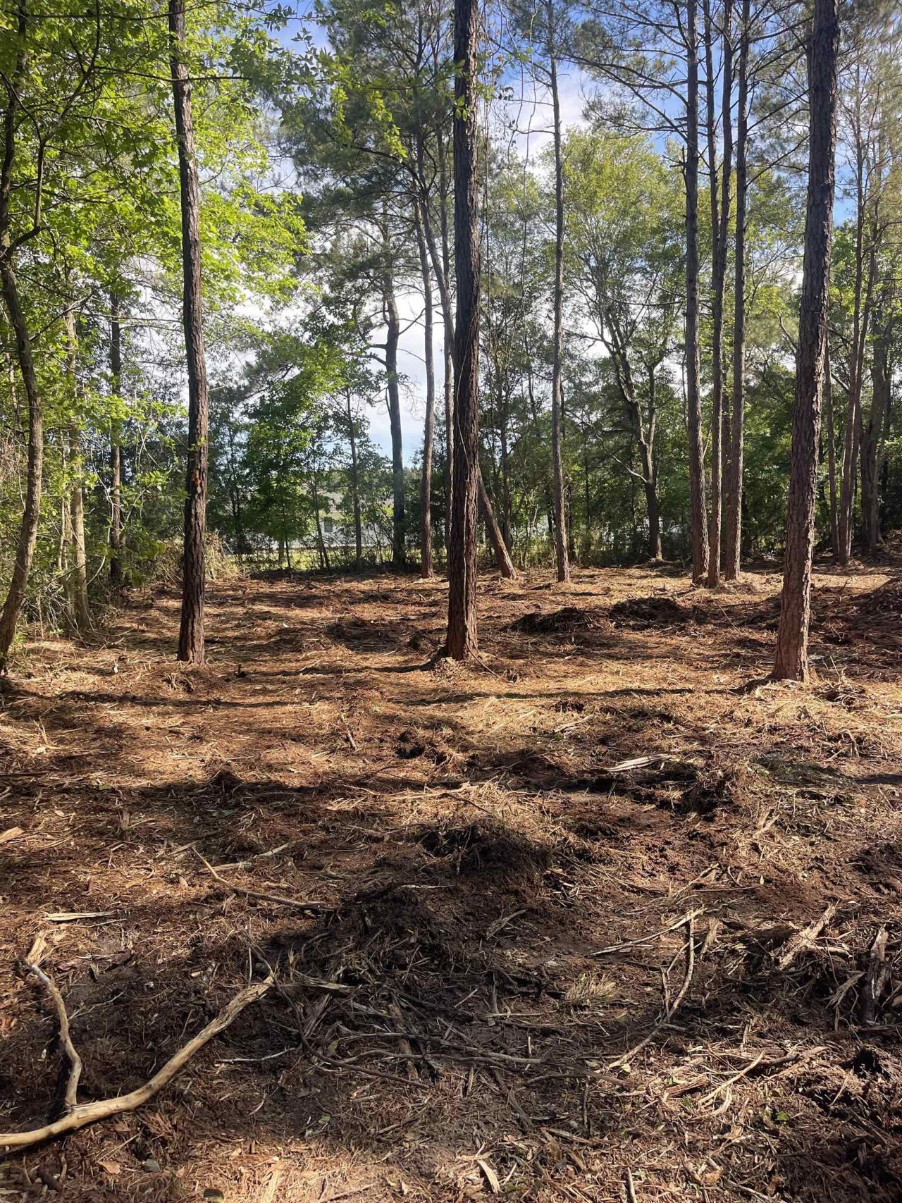 Tbd Mount Olive Church Rd.  Photo 17