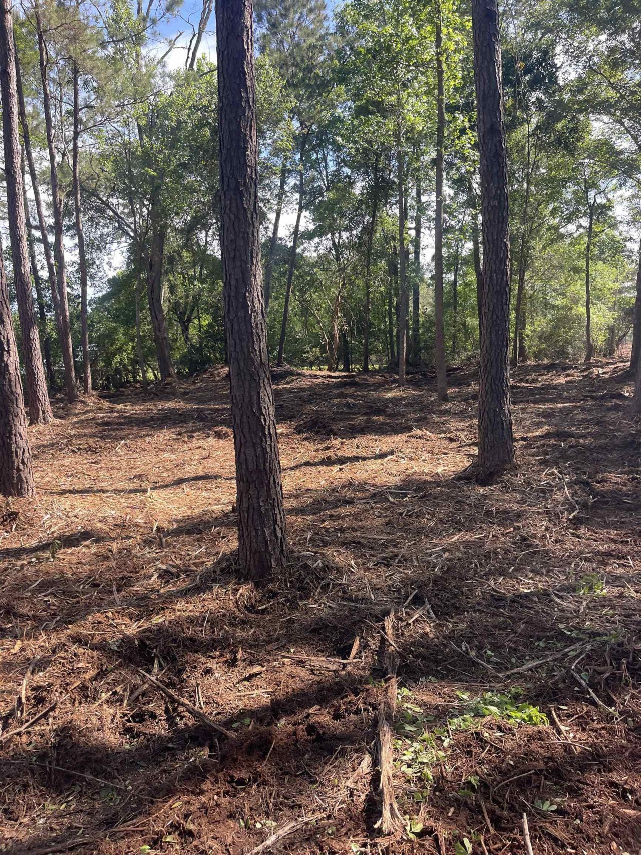 Tbd Mount Olive Church Rd.  Photo 18