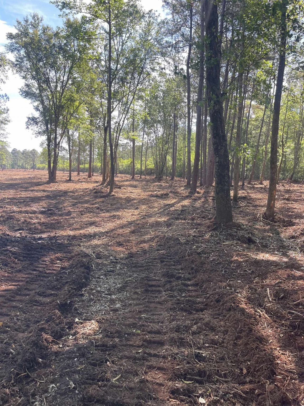 Tbd Mount Olive Church Rd.  Photo 19