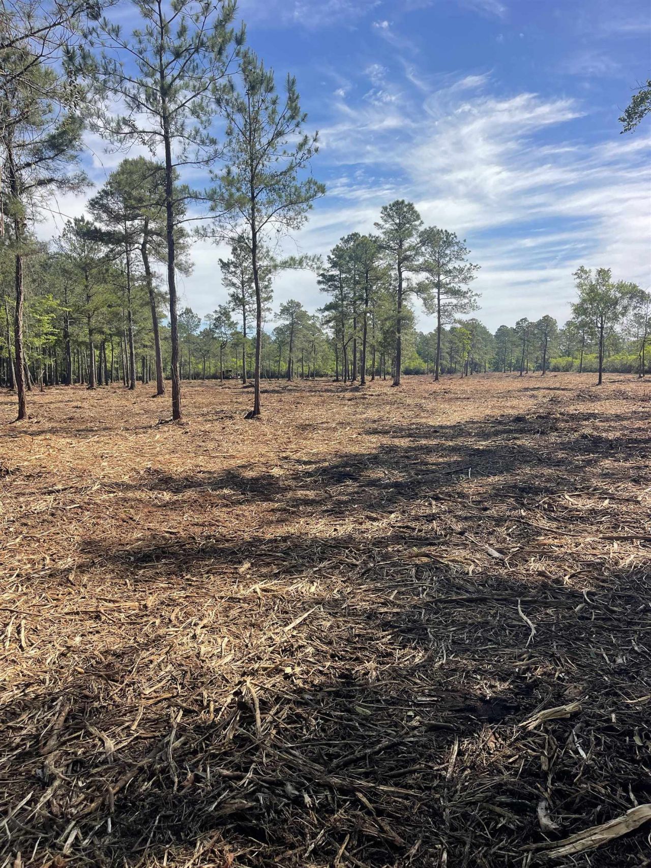 Tbd Mount Olive Church Rd.  Photo 21