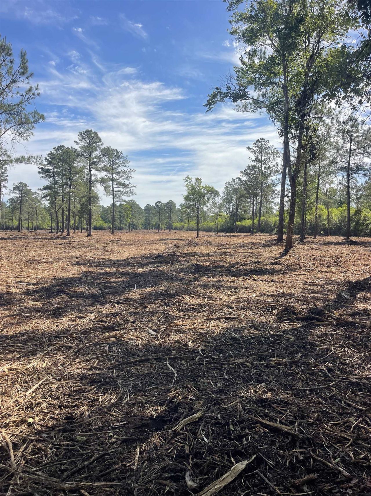 Tbd Mount Olive Church Rd.  Photo 22