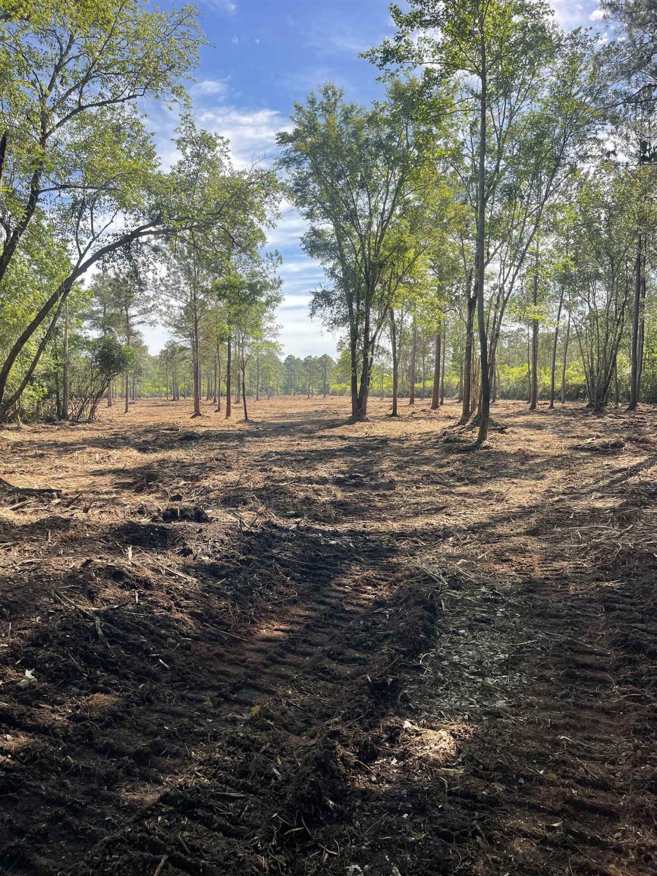 Tbd Mount Olive Church Rd.  Photo 23