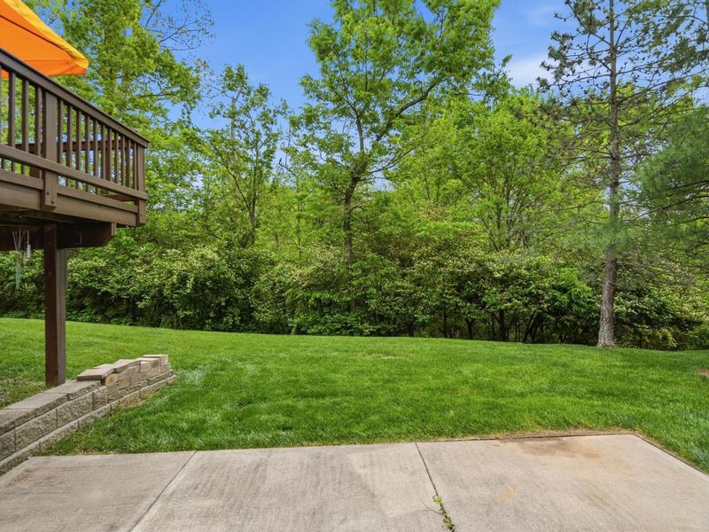 1542 Crosswinds Drive, Independence, KY 41051 Photo 37