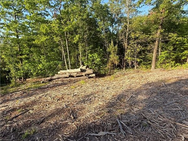 Arbroath Lane , Bella Vista, AR 72715