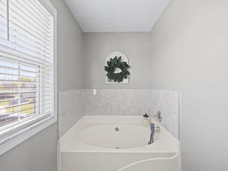 4169 Demorest Cove Court, Grove City, OH 43123 Photo 38