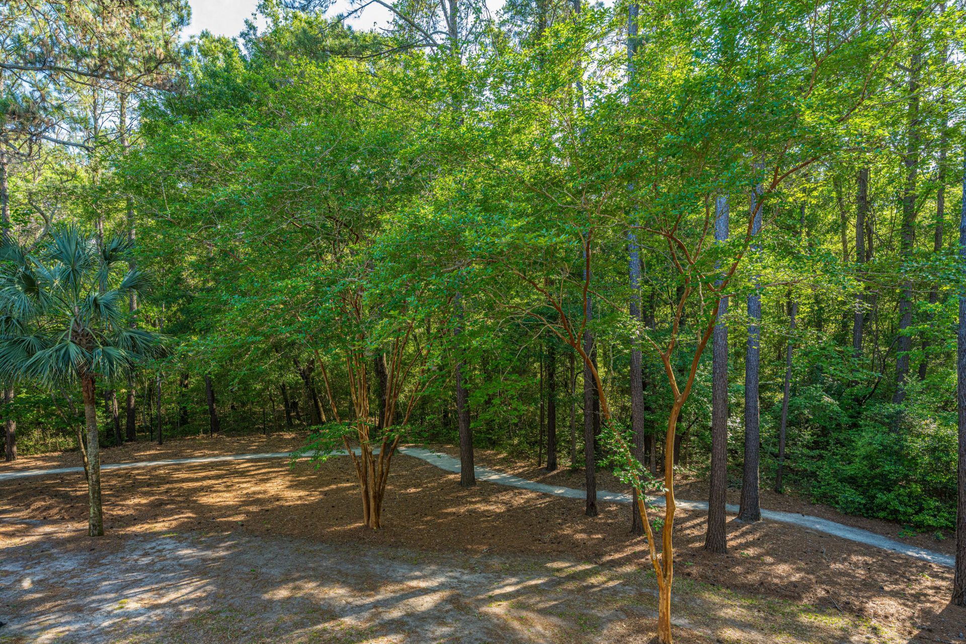 1025 Riverland Woods Place Photo 28