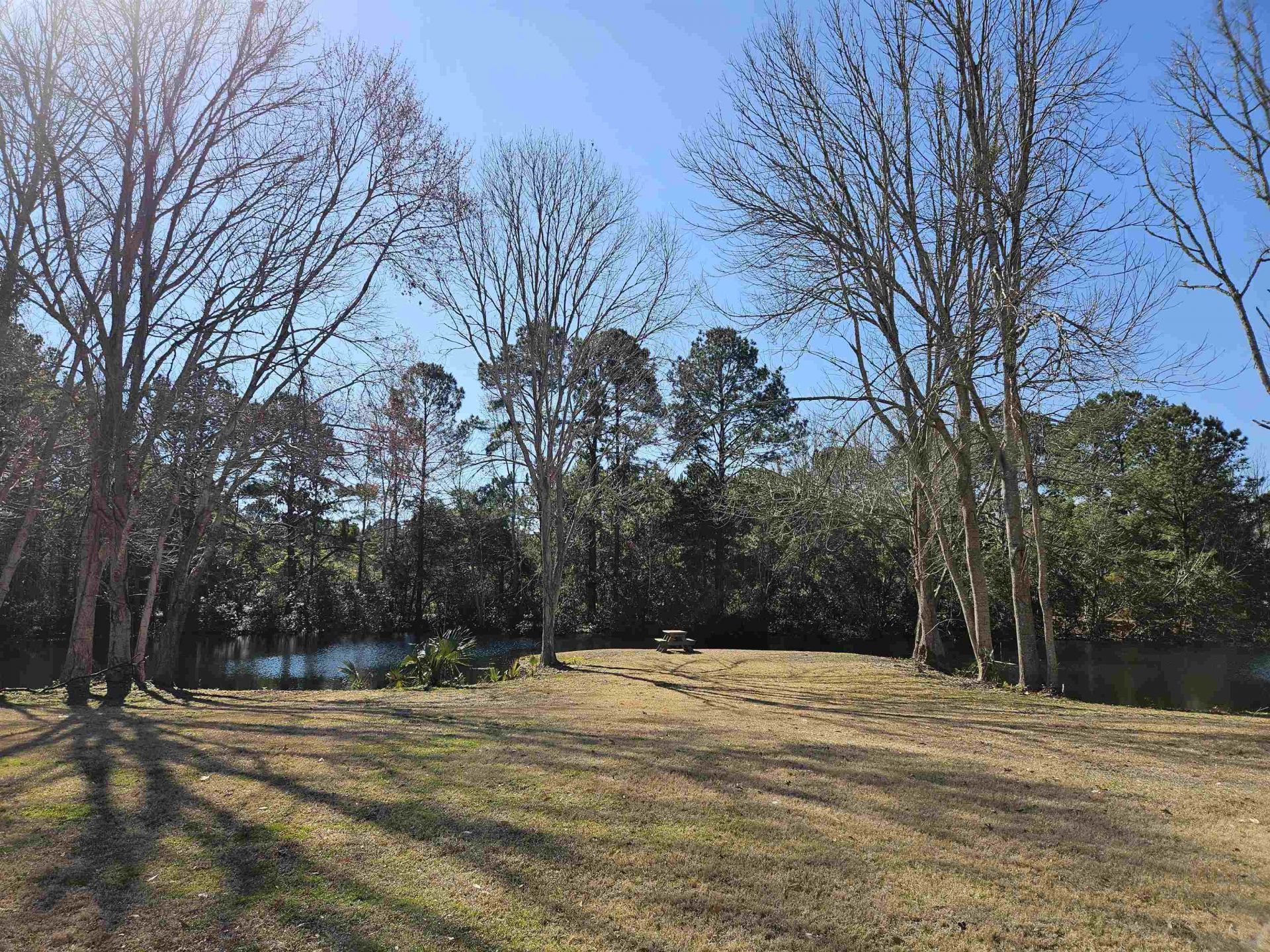 116 Heron Way Photo 48