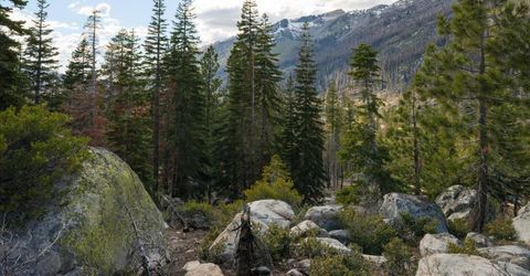 2060 Huckleberry Heights, Twin Bridges, CA 95735 Photo