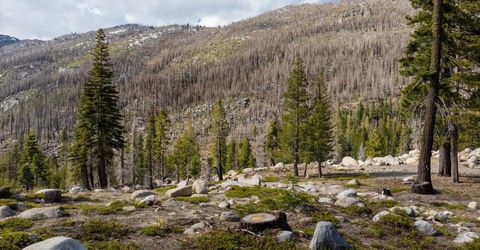 2060 Huckleberry Heights, Twin Bridges, CA 95735 Photo