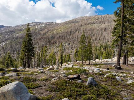 2060 Huckleberry Heights, Twin Bridges, CA 95735 Photo