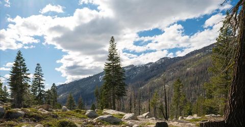 2060 Huckleberry Heights, Twin Bridges, CA 95735 Photo