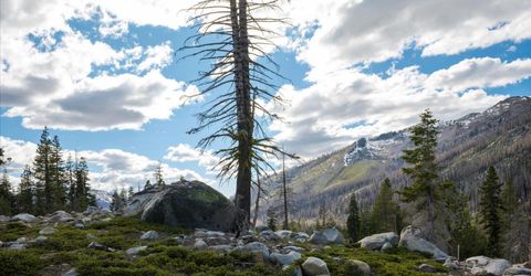 2060 Huckleberry Heights, Twin Bridges, CA 95735 Photo