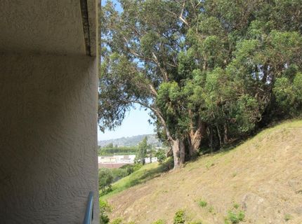 535 Pierce St #5414, Unit 5414, Albany, CA 94706 Photo