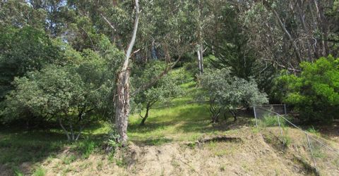 535 Pierce St #5414, Unit 5414, Albany, CA 94706 Photo