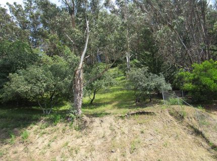 535 Pierce St #5414, Unit 5414, Albany, CA 94706 Photo