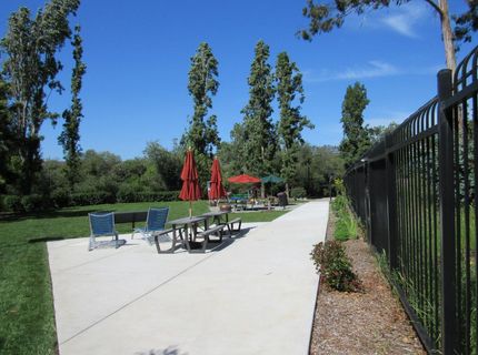 535 Pierce St #5414, Unit 5414, Albany, CA 94706 Photo