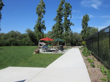 535 Pierce St #5414, Unit 5414, Albany, CA 94706 Photo