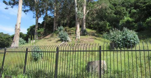 535 Pierce St #5414, Unit 5414, Albany, CA 94706 Photo