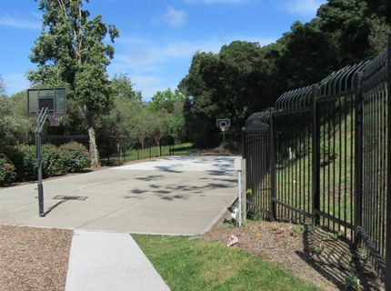 535 Pierce St #5414, Unit 5414, Albany, CA 94706 Photo