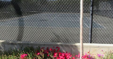 535 Pierce St #5414, Unit 5414, Albany, CA 94706 Photo