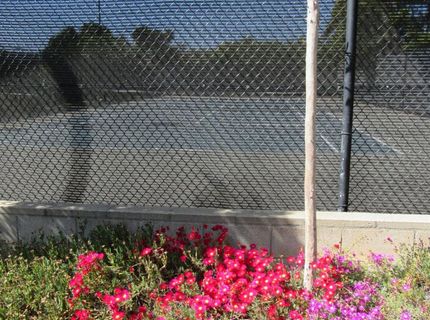 535 Pierce St #5414, Unit 5414, Albany, CA 94706 Photo