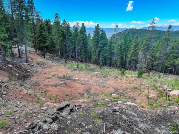 11275 Bear Run Trail , Conifer, CO 80433