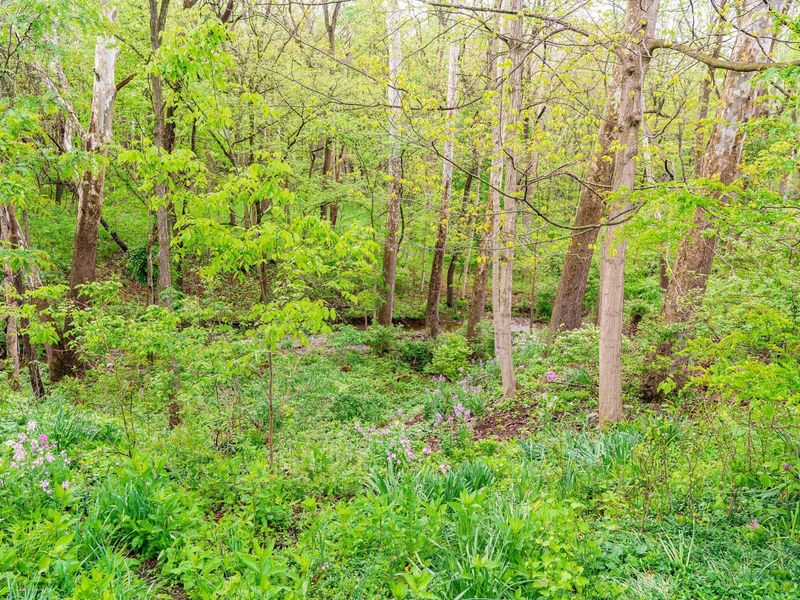 1484 Carriage Road, Powell, OH 43065 Photo 17