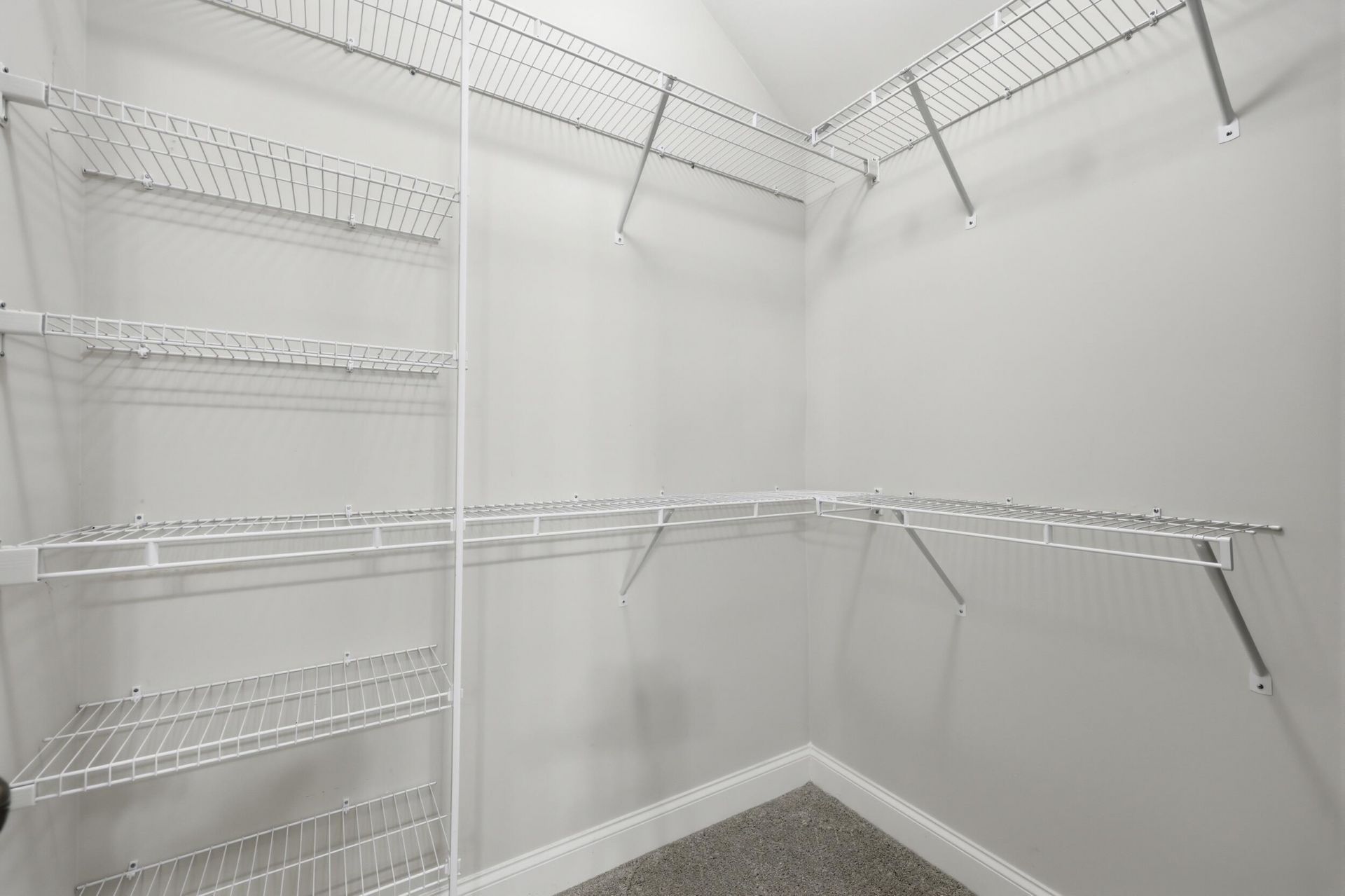 137 Hawthorne Landing Drive Photo 16