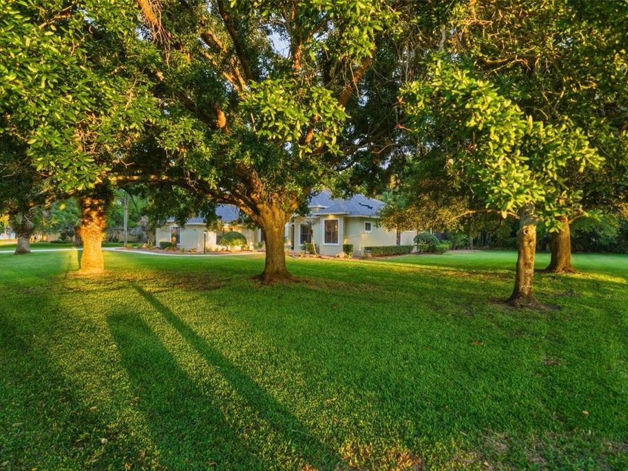 Property Image 69