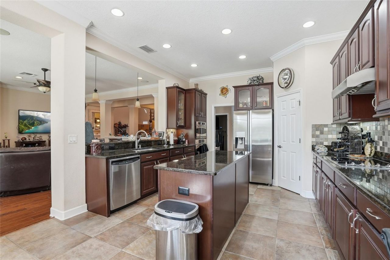 11403 Biddeford Place, New Port Richey, FL 34654 Photo
