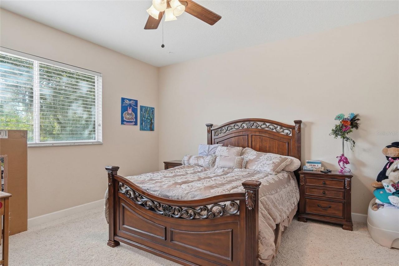 11403 Biddeford Place, New Port Richey, FL 34654 Photo