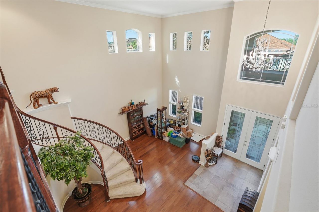 11403 Biddeford Place, New Port Richey, FL 34654 Photo