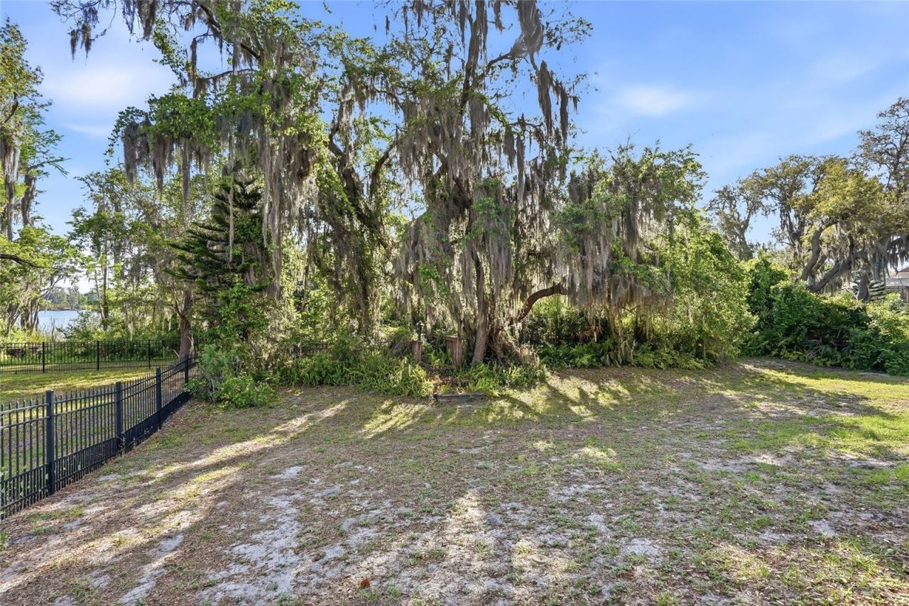 11403 Biddeford Place, New Port Richey, FL 34654 Photo