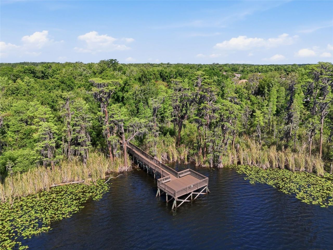 11403 Biddeford Place , New Port Richey, FL 34654 Photo