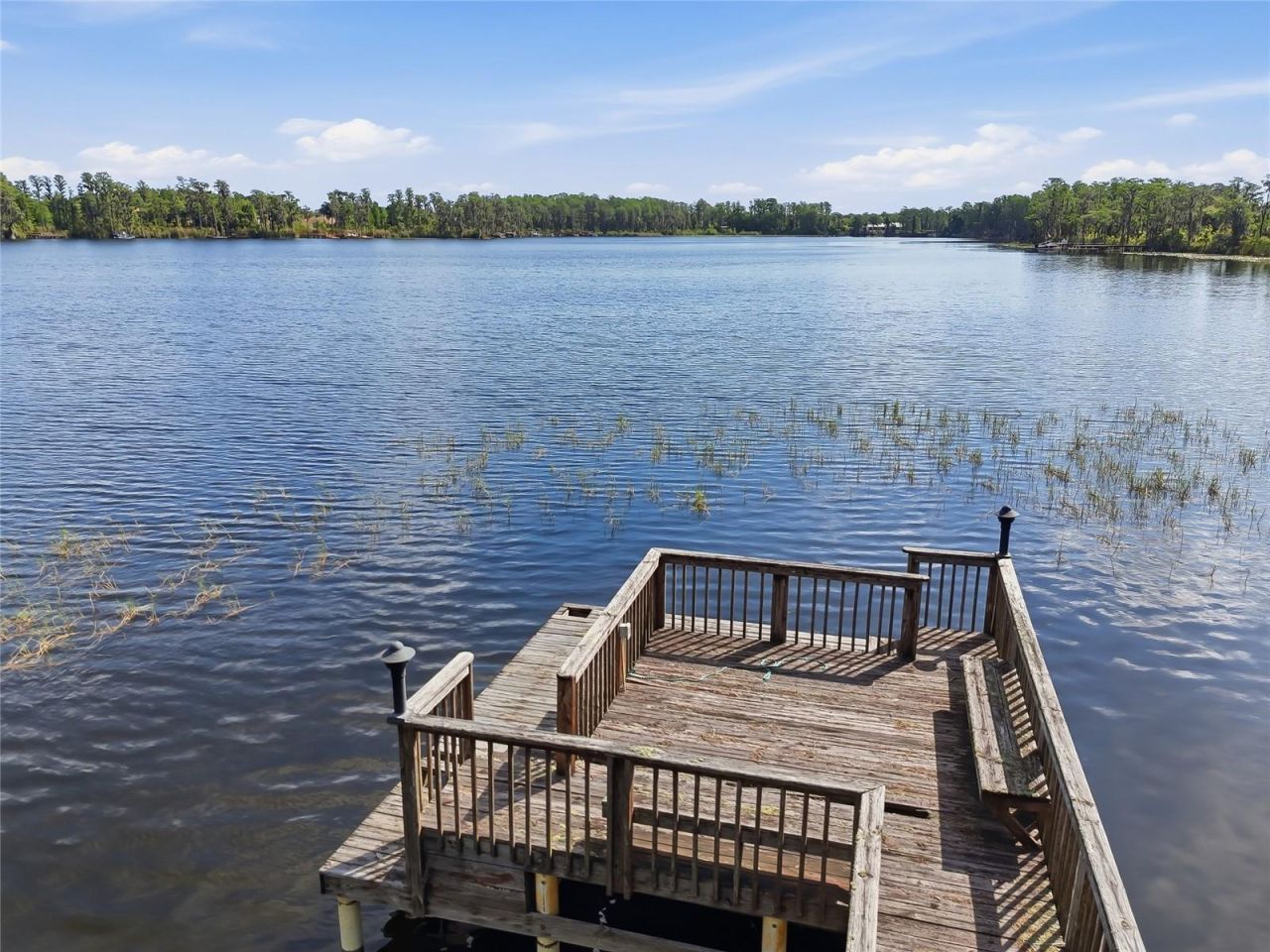 11403 Biddeford Place, New Port Richey, FL 34654 Photo