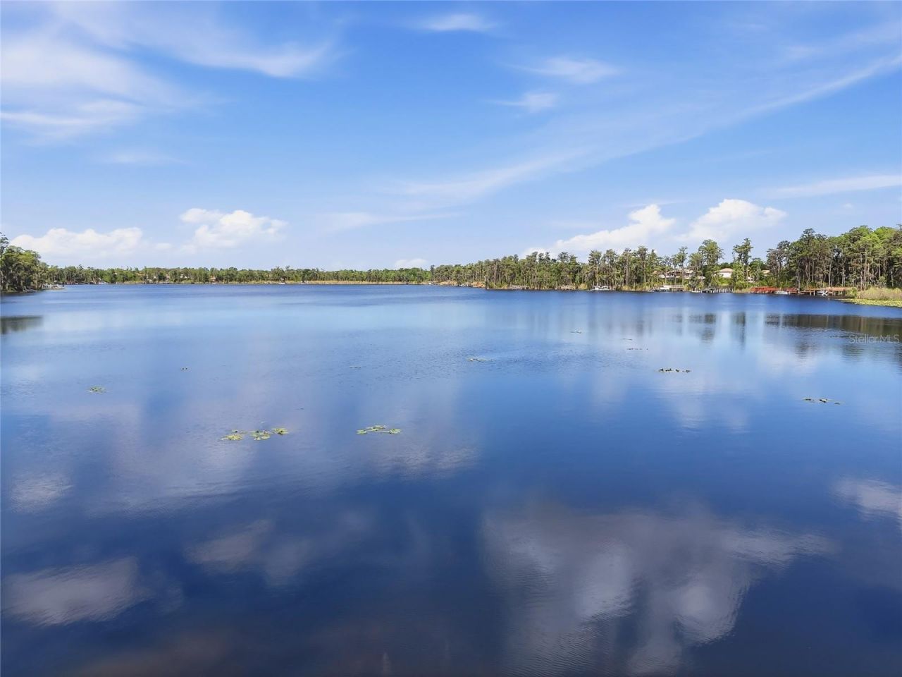 11403 Biddeford Place, New Port Richey, FL 34654 Photo