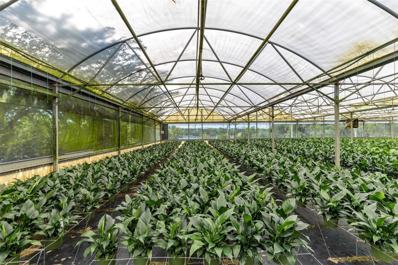 18021 E Apshawa Road , Minneola, FL 34715 Photo