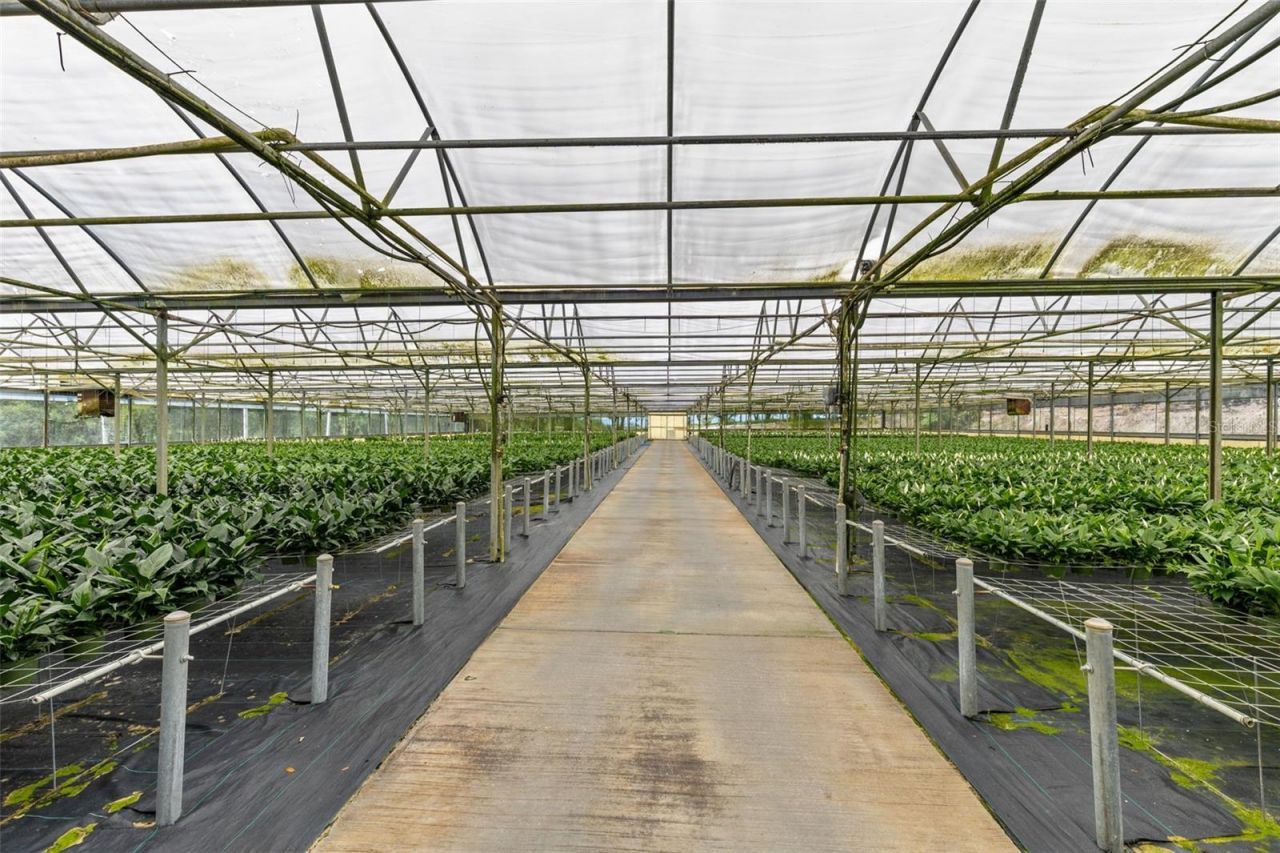 18021 E Apshawa Road , Minneola, FL 34715 Photo